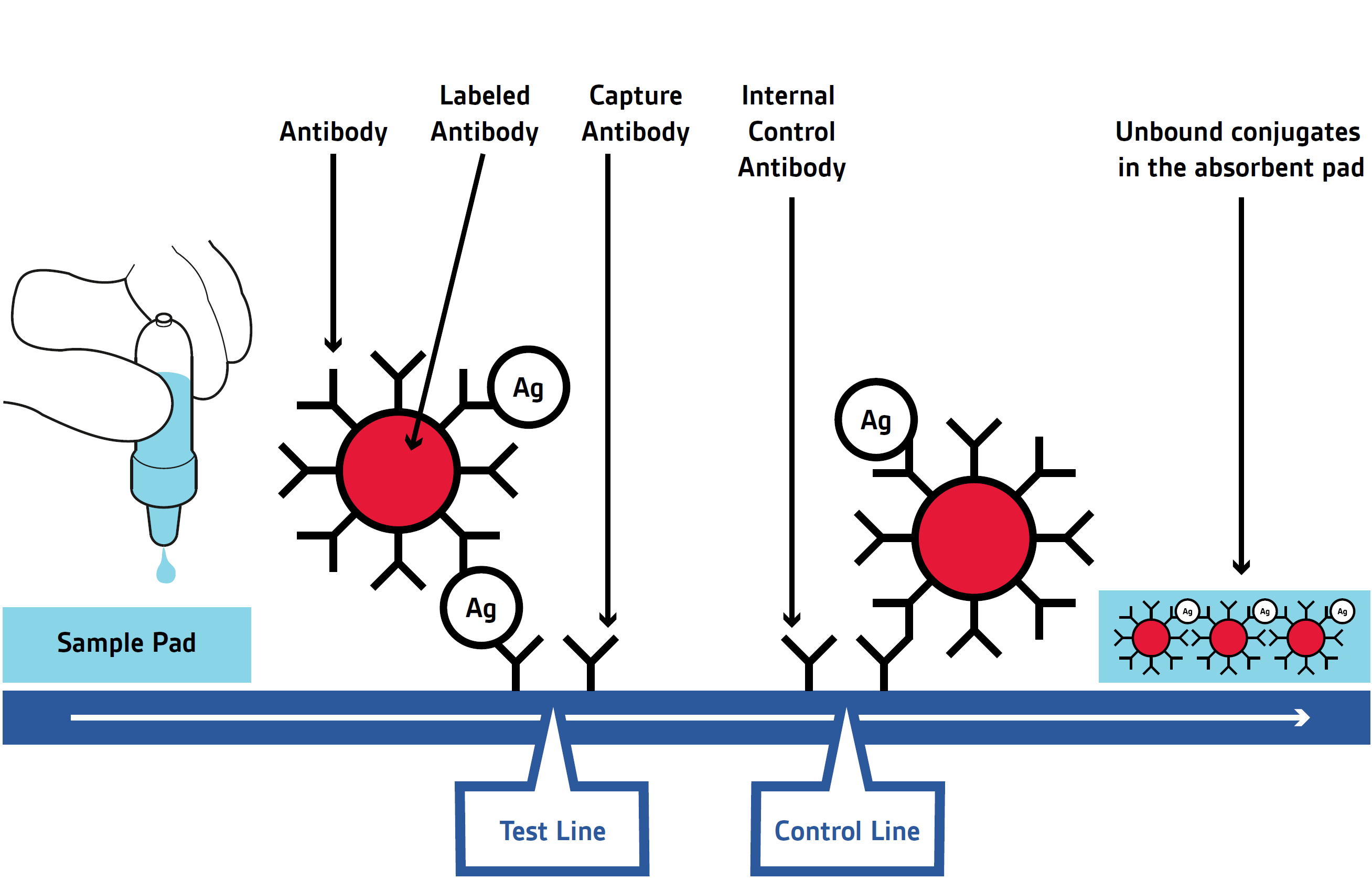 Environics in-house immunochromatographic lateral flow test for biological identification